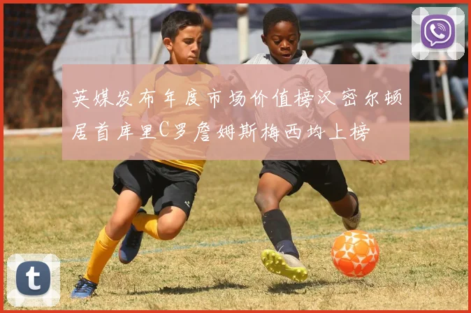 英媒发布年度市场价值榜汉密尔顿居首库里C罗詹姆斯梅西均上榜