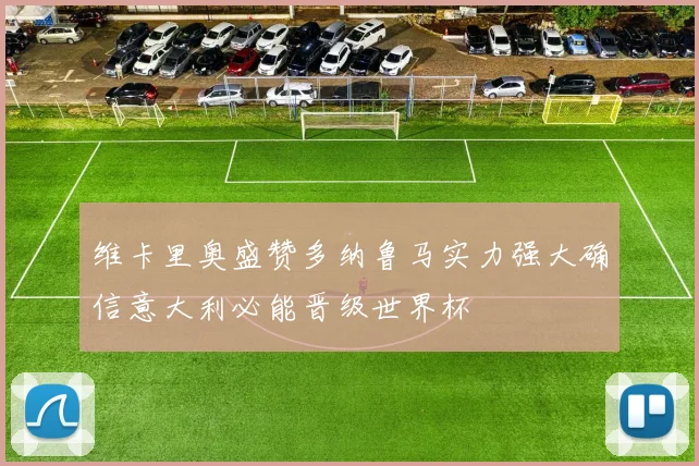 维卡里奥盛赞多纳鲁马实力强大确信意大利必能晋级世界杯