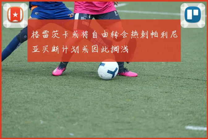 格雷茨卡或将自由转会热刺帕利尼亚买断计划或因此搁浅
