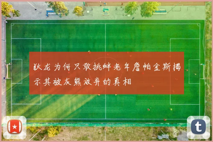 狄龙为何只敢挑衅老年詹帕金斯揭示其被灰熊放弃的真相