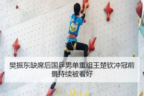 樊振东缺席后国乒男单重组王楚钦冲冠前景持续被看好 | kaiyun